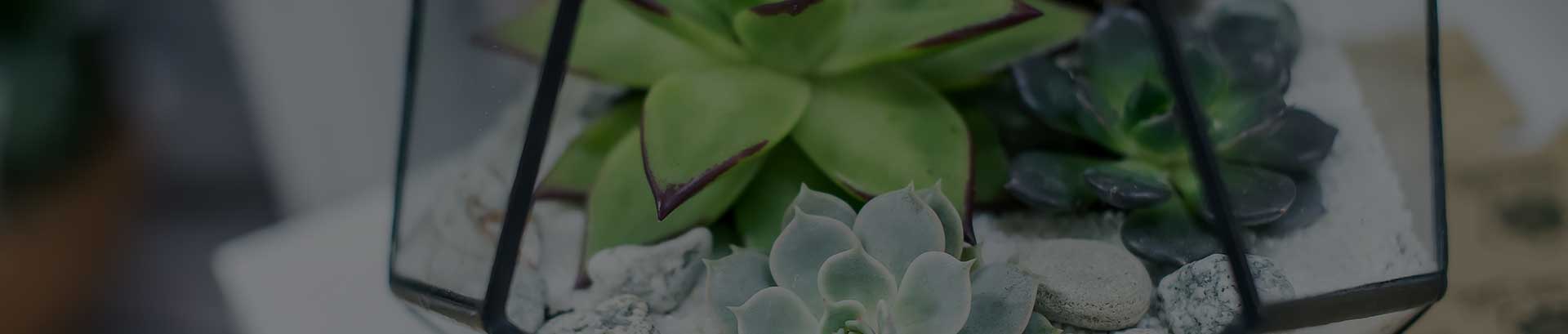 Craft & Craft Hakkımızda